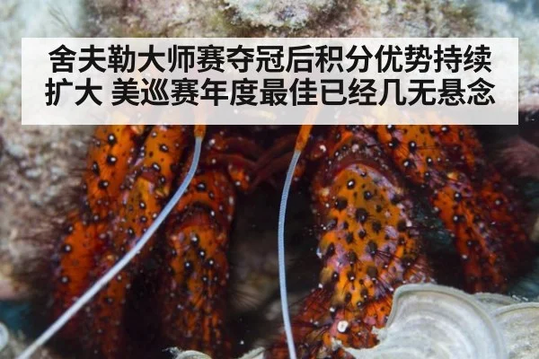 舍夫勒大师赛夺冠后积分优势持续扩大 美巡赛年度最佳已经几无悬念